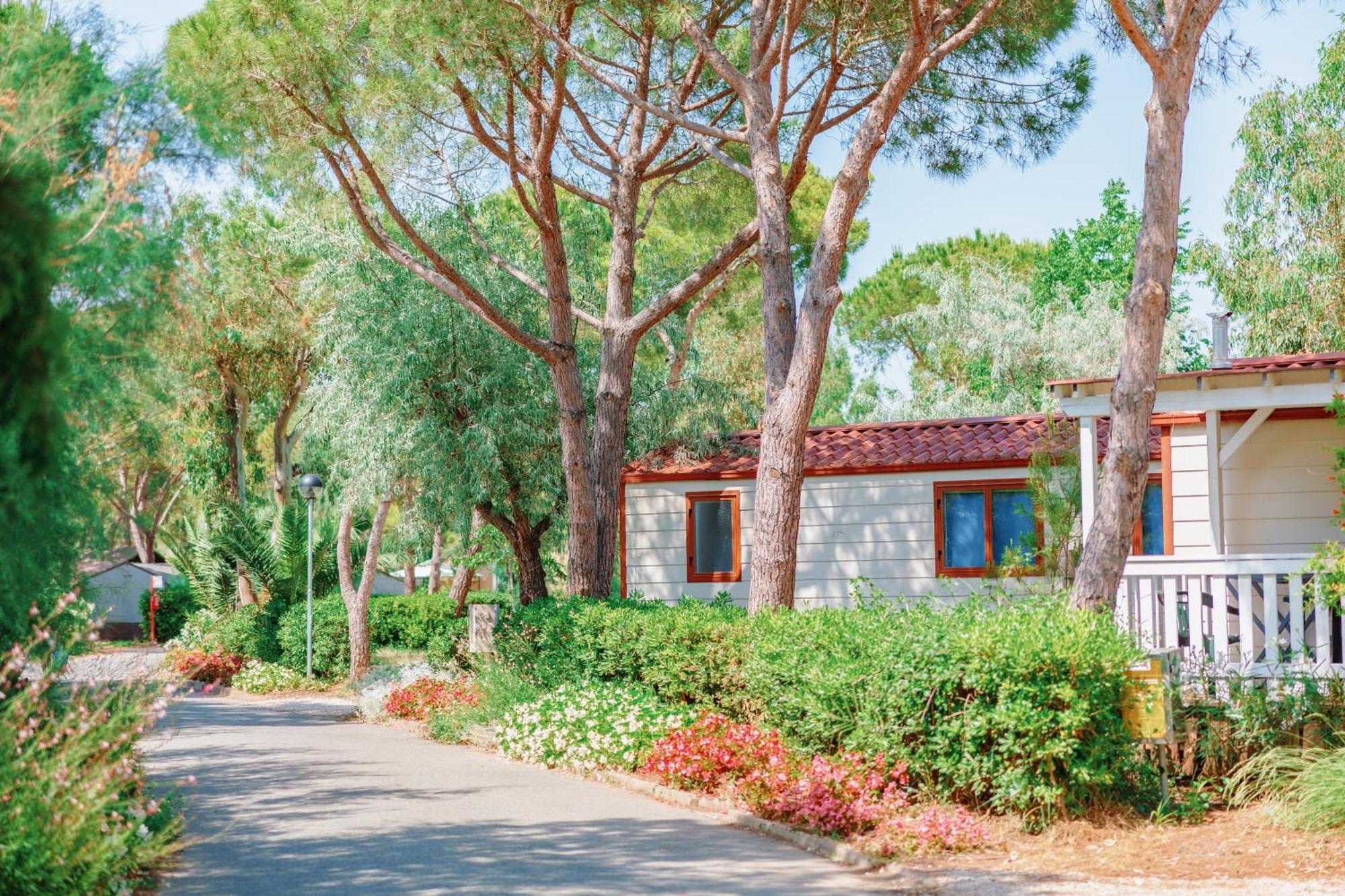 Toscana Bella Camping Village ヴァダ エクステリア 写真