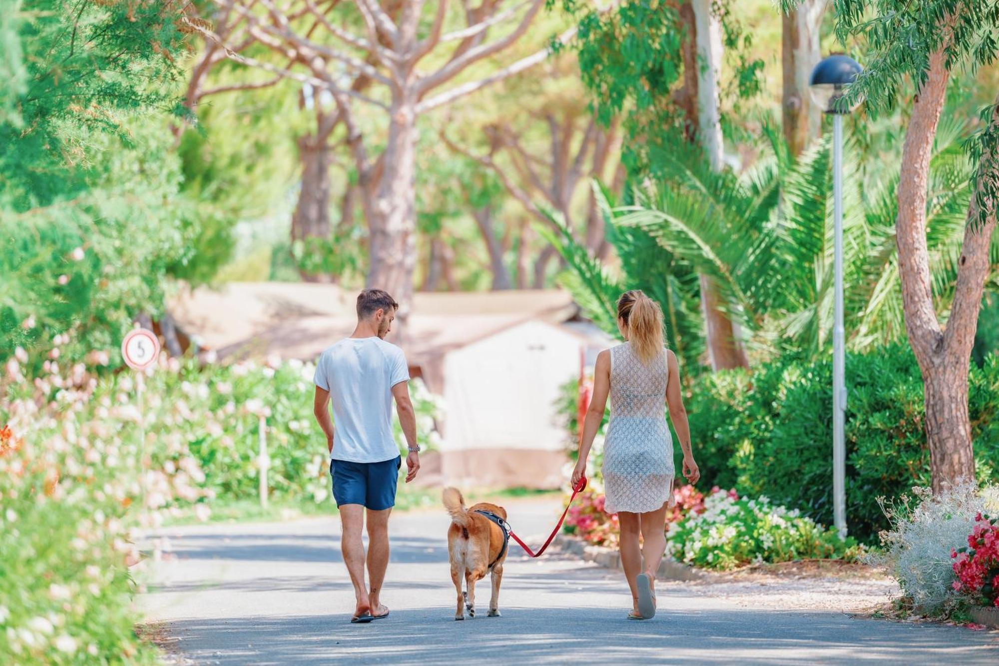 Toscana Bella Camping Village ヴァダ エクステリア 写真