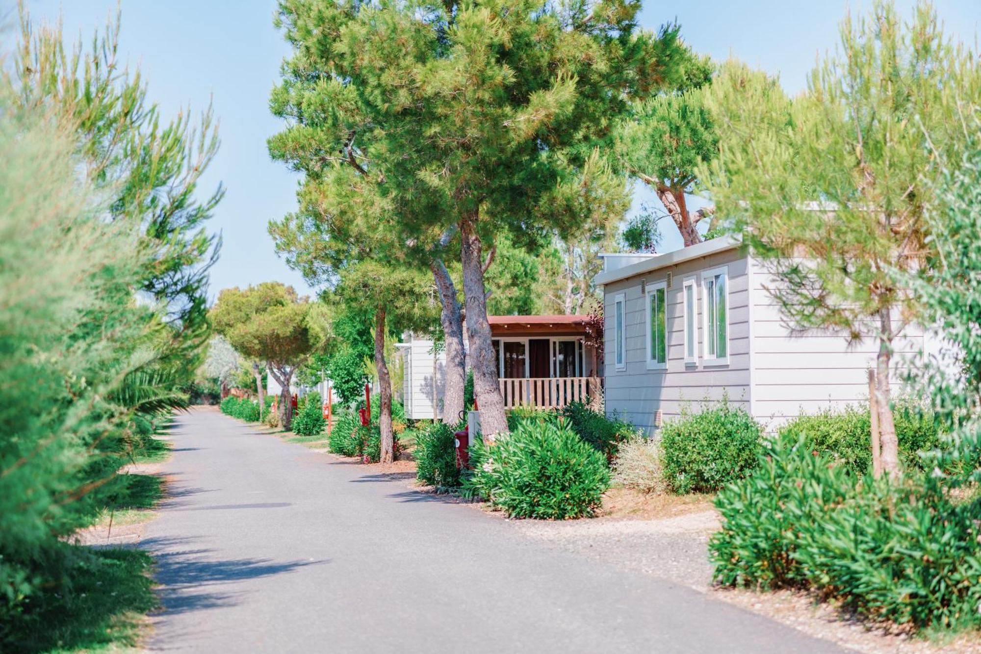 Toscana Bella Camping Village ヴァダ エクステリア 写真