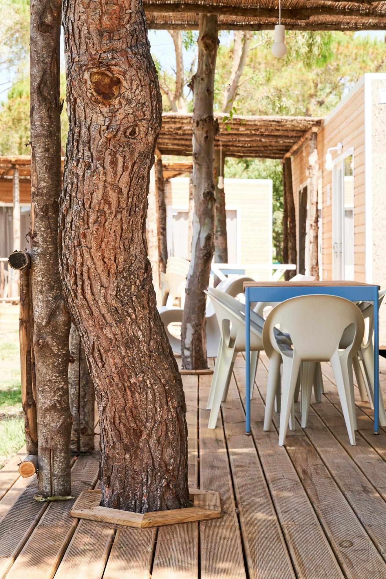 Toscana Bella Camping Village ヴァダ エクステリア 写真